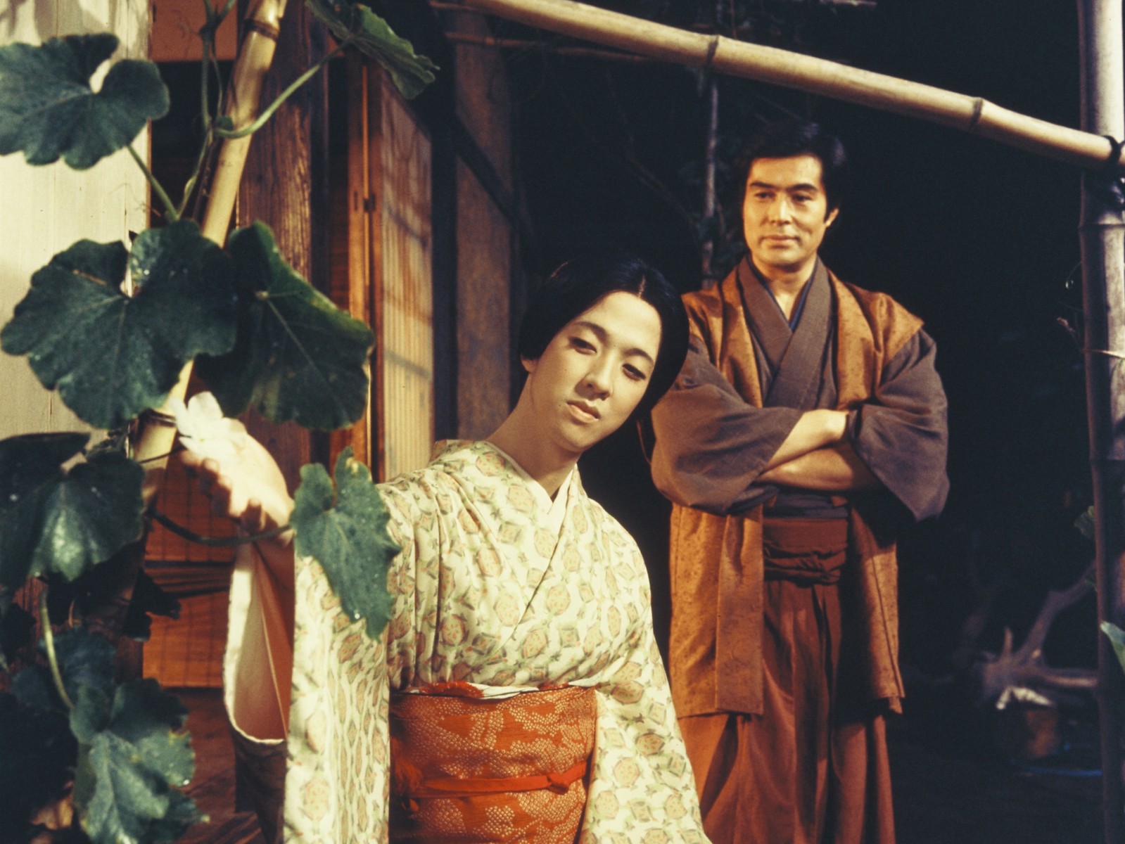 Harvard Film Archive