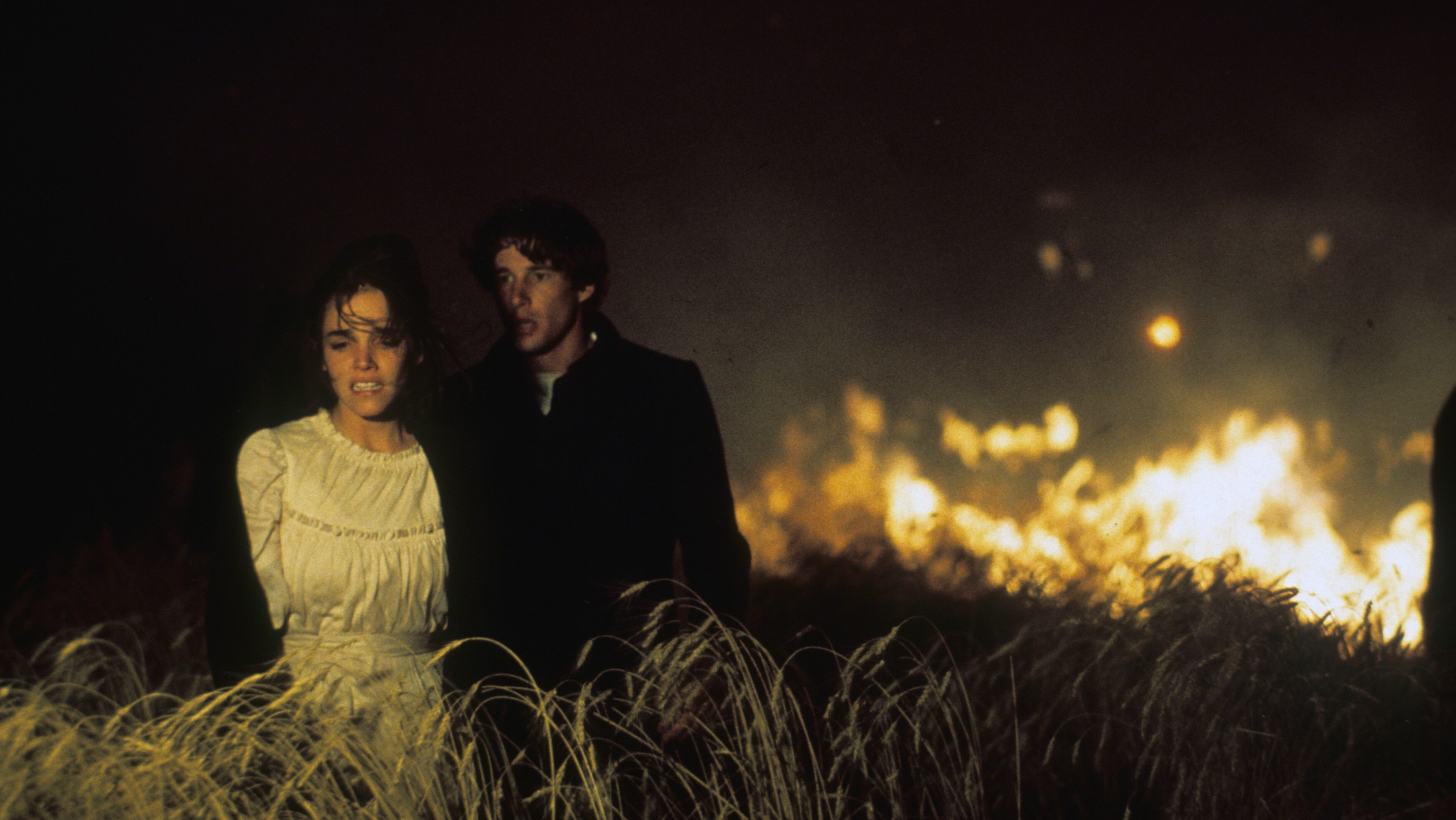 Days of Heaven Harvard Film Archive