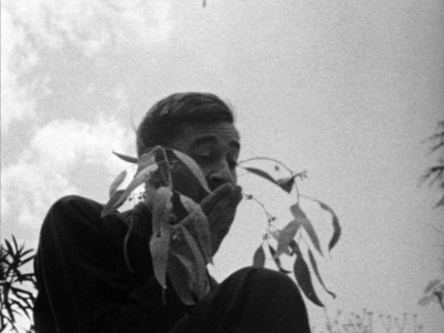 a black and white, low-angle image of a person partially obscured by the plant they hold
