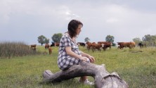 a pregnant white woman wearing a dress, sitting on a tree branch in a cow pasture