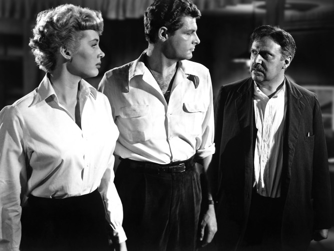 The Killer That Stalked New York - Harvard Film Archive